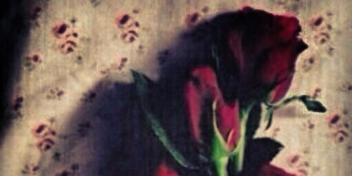 m0tm66's profile banner image