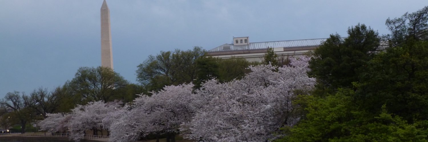 cetuva's profile banner image