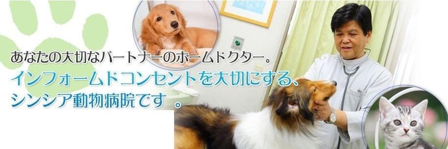 sp4947e9's profile banner image