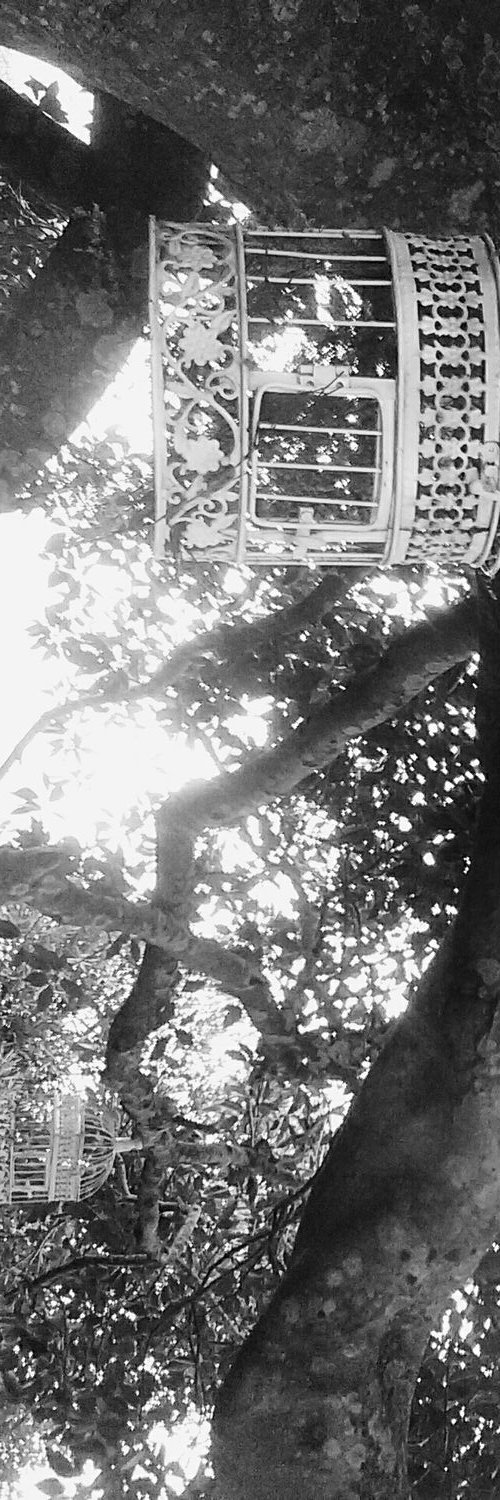 TheJJMA's profile banner image