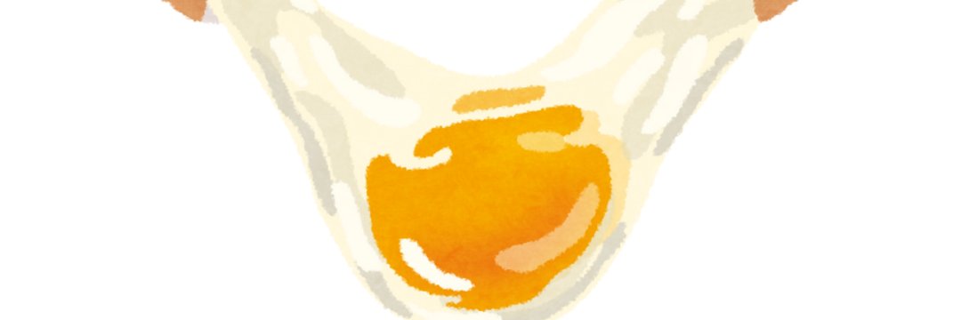 rorio6500's profile banner image