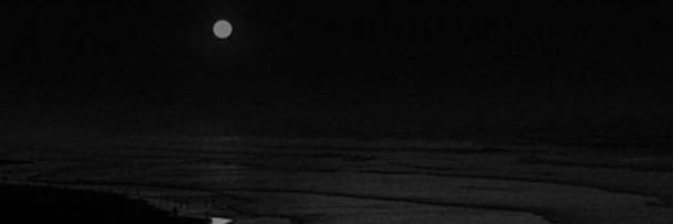 🐇 banner