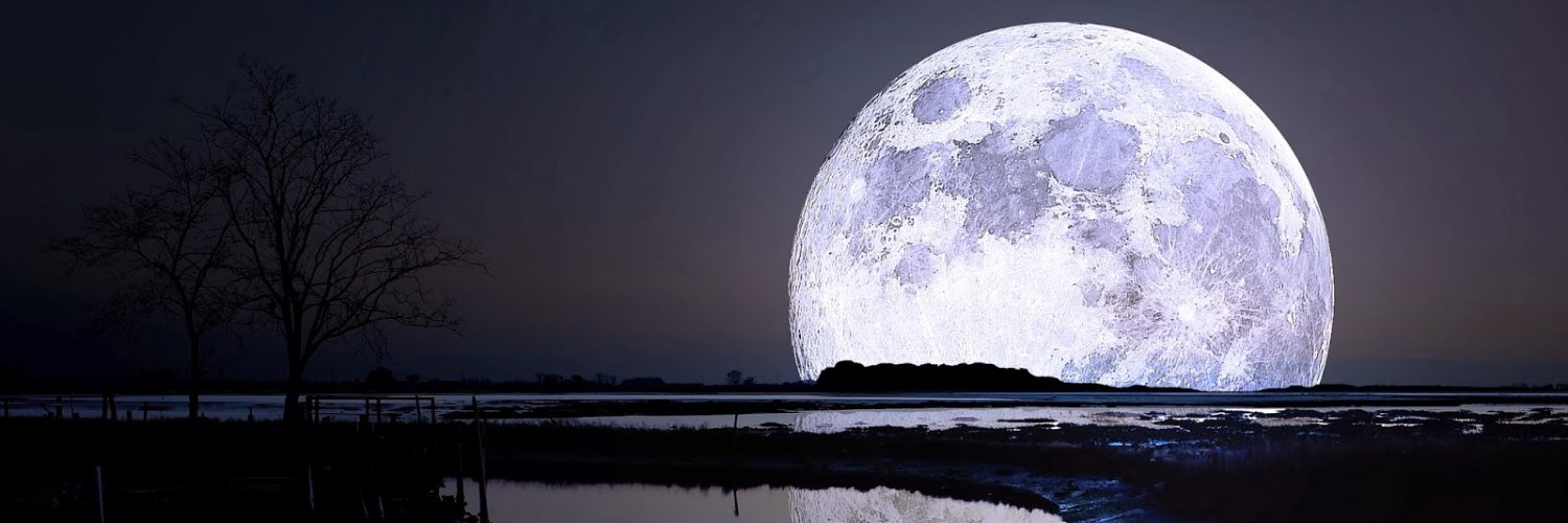 GodfatherBond banner