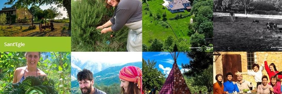 Dest_Umana's profile banner image