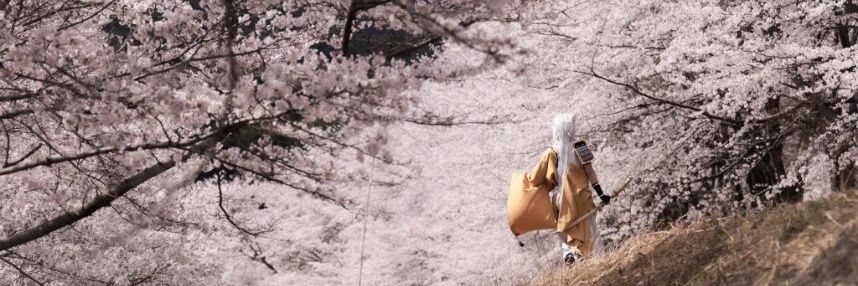 kaoru37vds's profile banner image