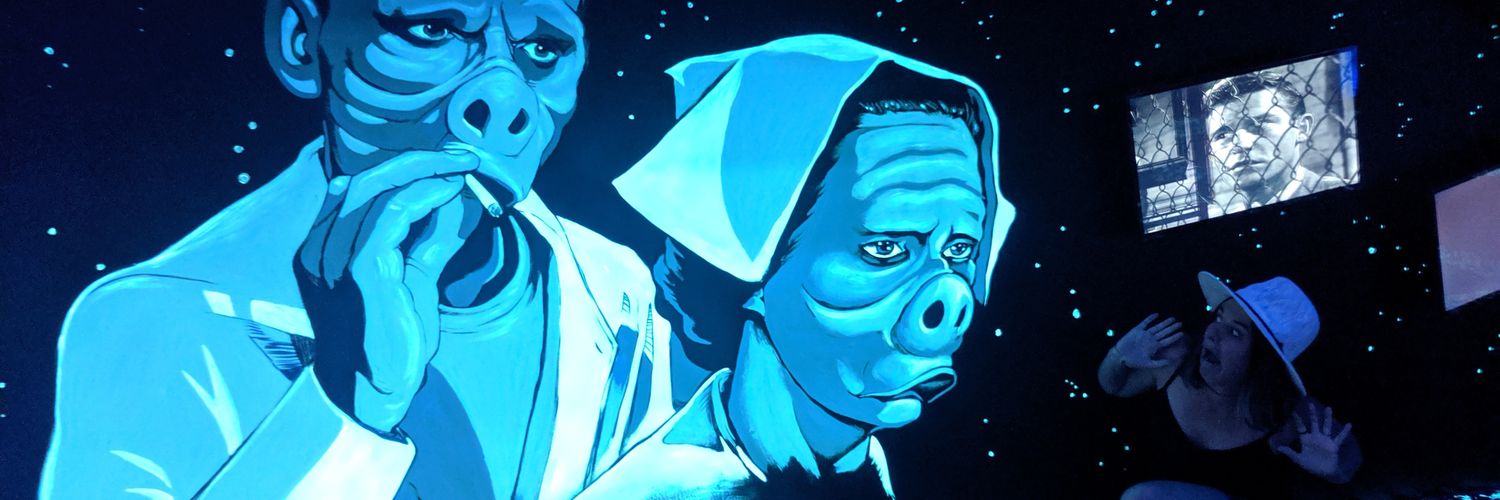 starrydevotchka's profile banner image