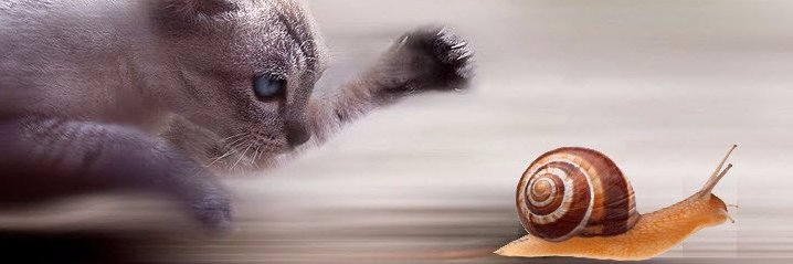 navanax's profile banner image