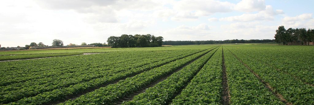 DeKempBV's profile banner image