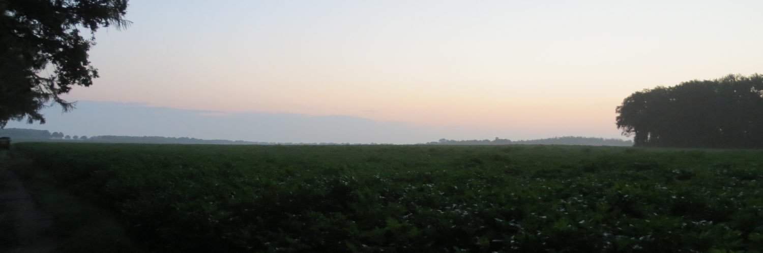 RobinHeij's profile banner image