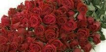 faqeeh_ha's profile banner image