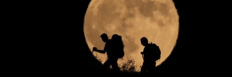 DarkOFtm's profile banner image