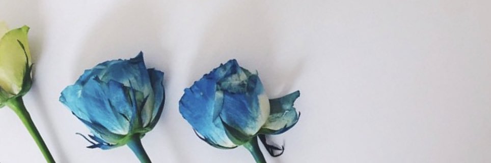 o404oj's profile banner image