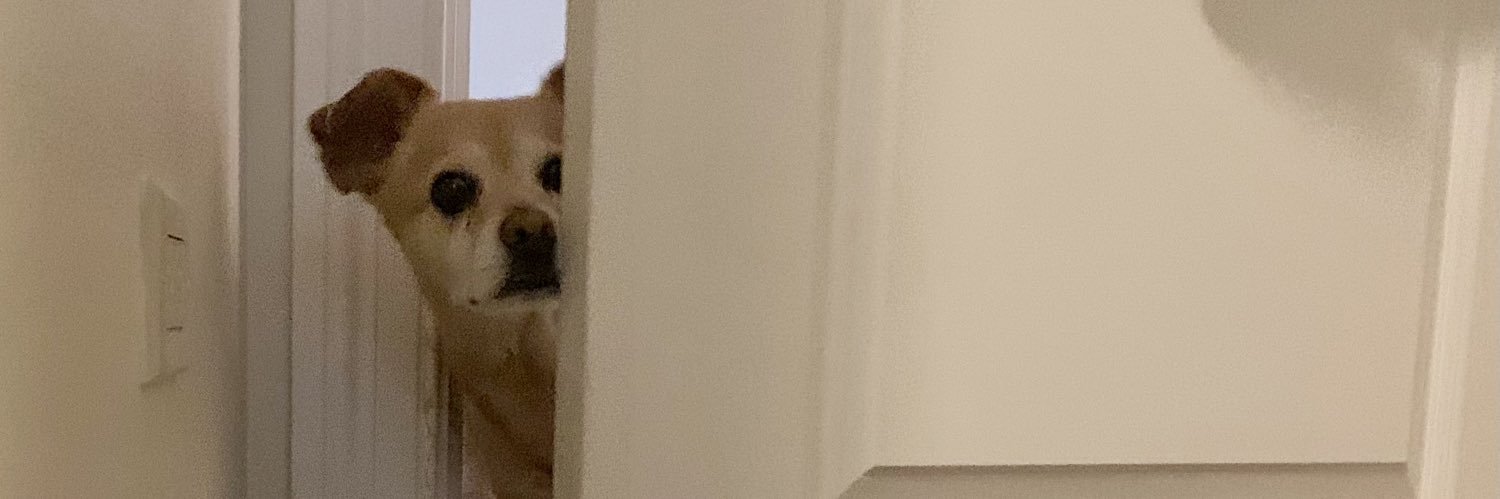 Travis Miller banner