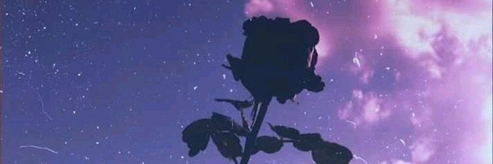 _HannaFA's profile banner image