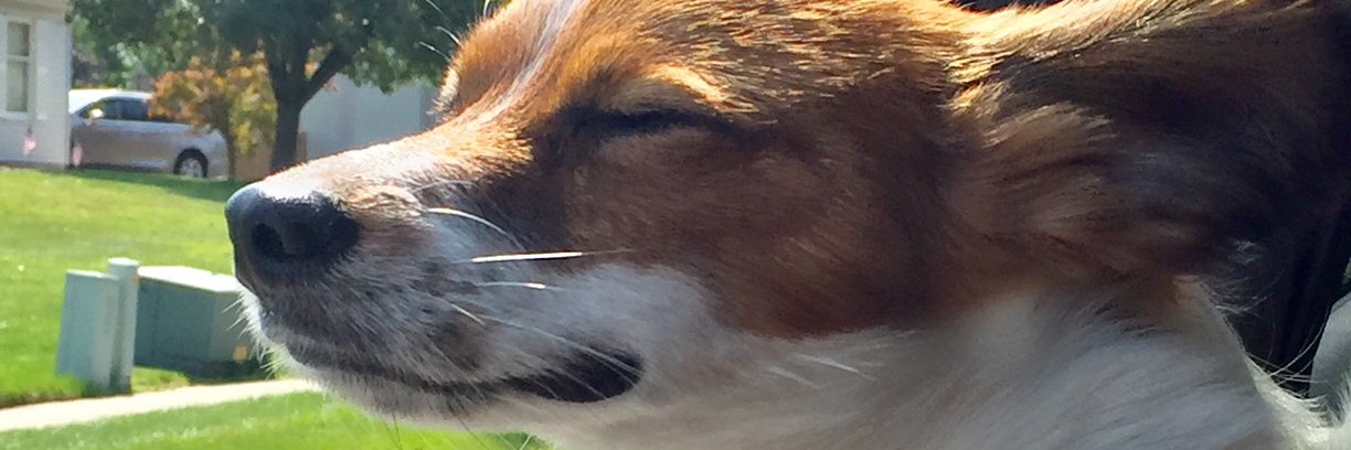 ChuckMik's profile banner image