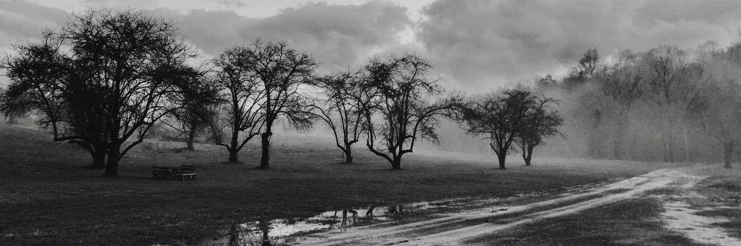 SarahLovrien's profile banner image