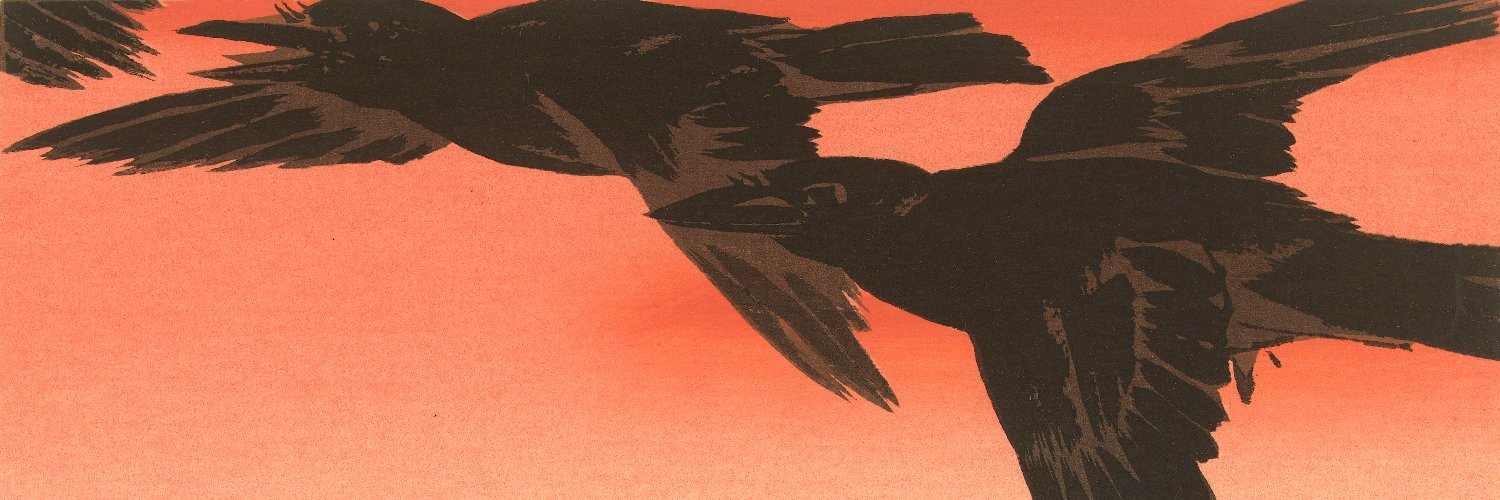 hanselowicz's profile banner image