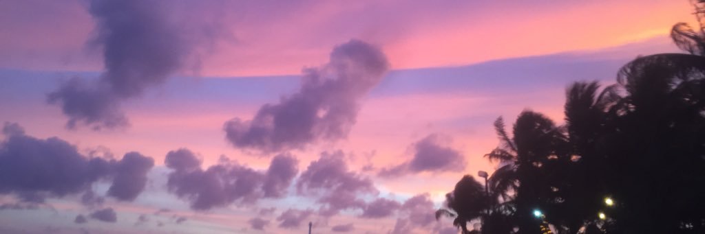 evieoliviaf's profile banner image