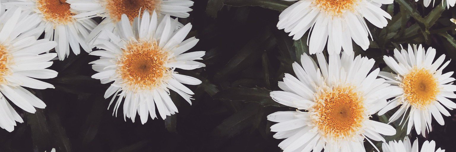 margauxkeller's profile banner image
