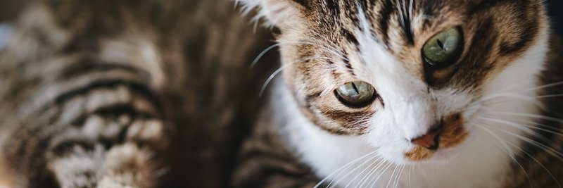 clubevent_n's profile banner image