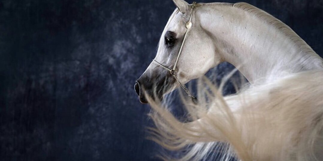 af_hat's profile banner image