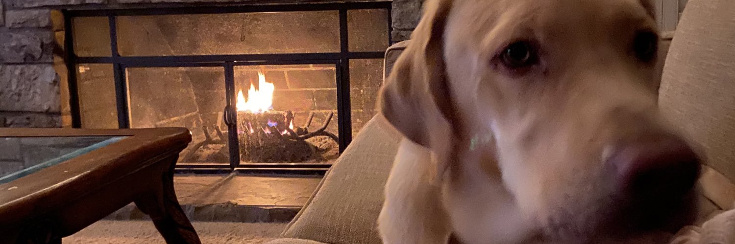 jazzbethy's profile banner image