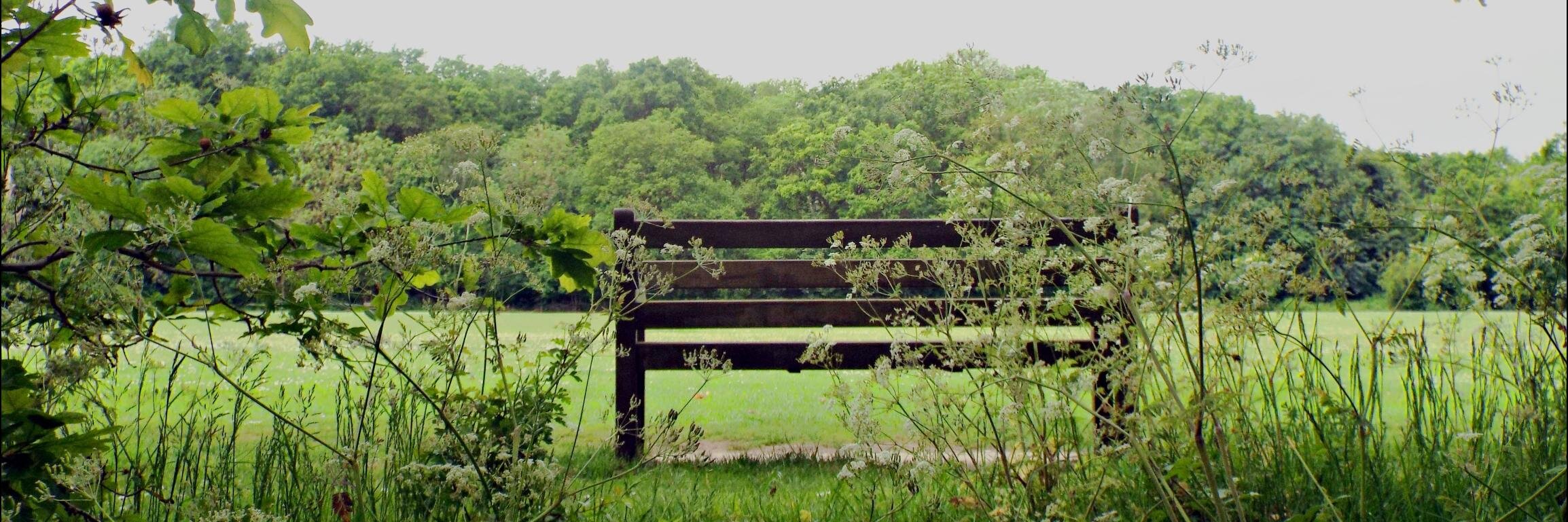 PalewellCommon's profile banner image