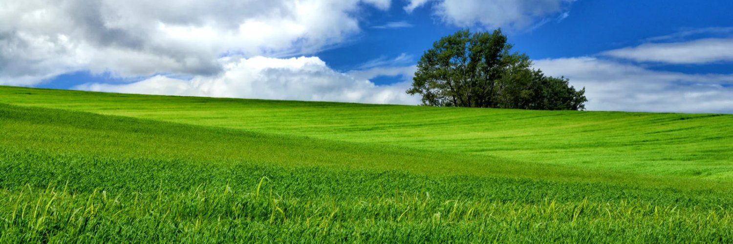 arusupunio's profile banner image