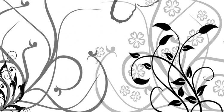MedLamineL's profile banner image
