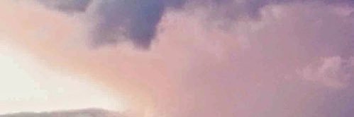 RaneyStogner's profile banner image