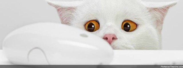ReneeTovar's profile banner image