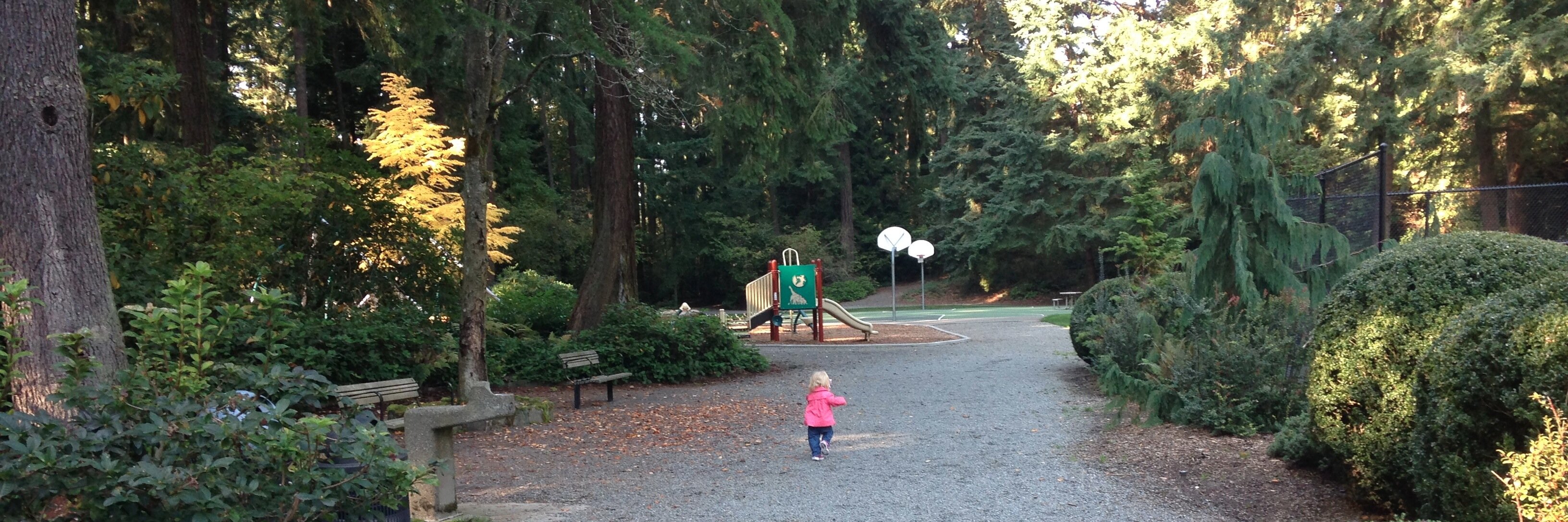 Lindess McFay banner