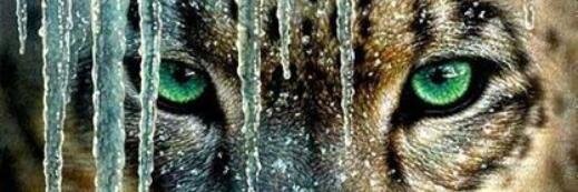 marwa477's profile banner image