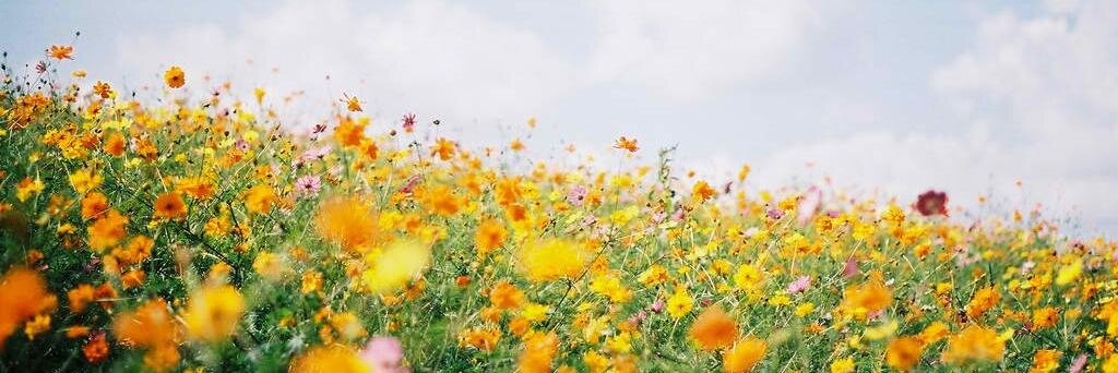 MOVED  ☆ banner