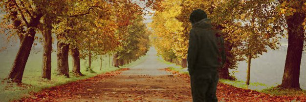 freeiran83's profile banner image