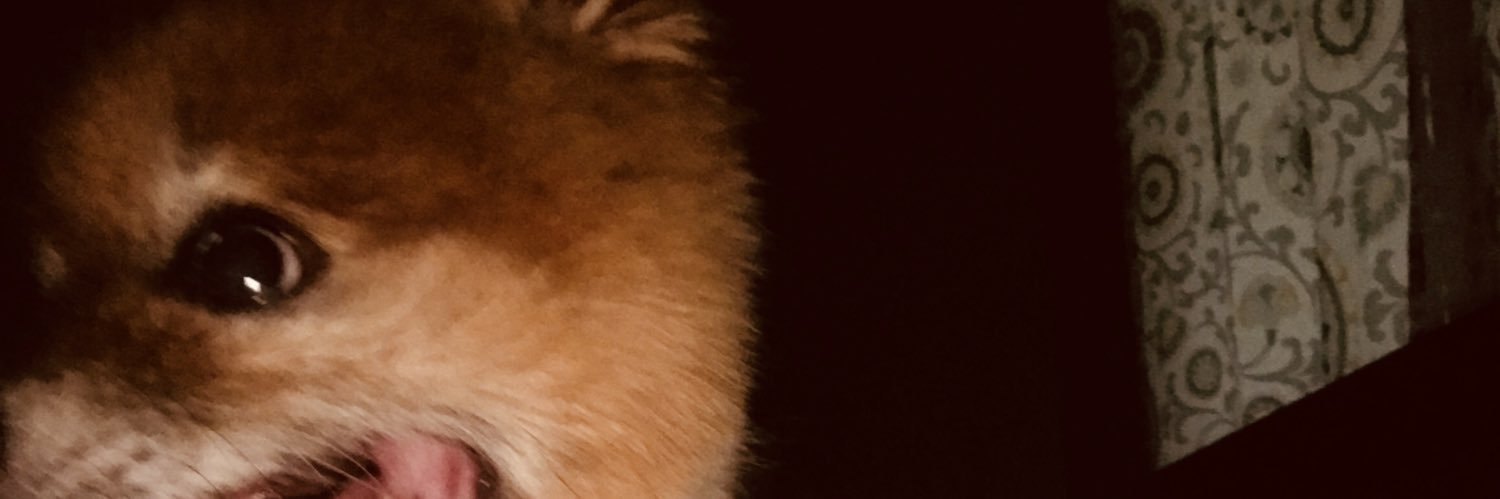 dane3rd's profile banner image