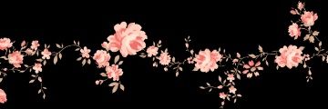 BBQkitten's profile banner image