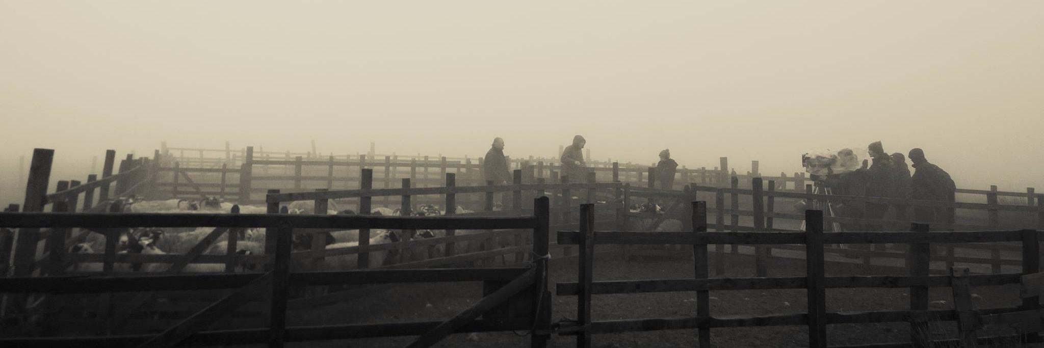 Muck Short Film banner