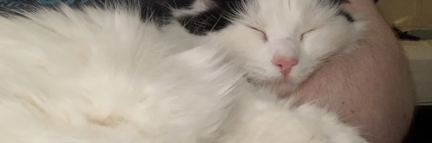 LargeLadCharles's profile banner image