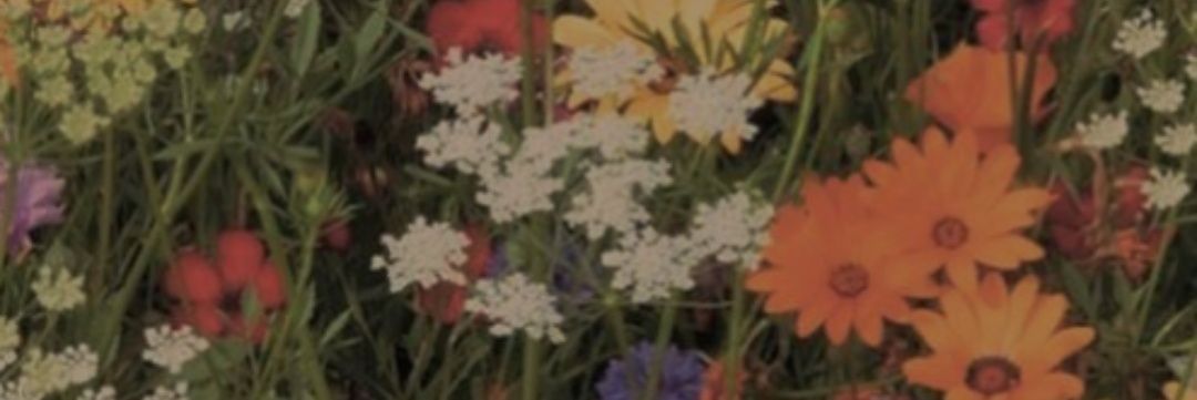 paula2000lve's profile banner image