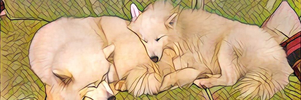 Mark__RV's profile banner image