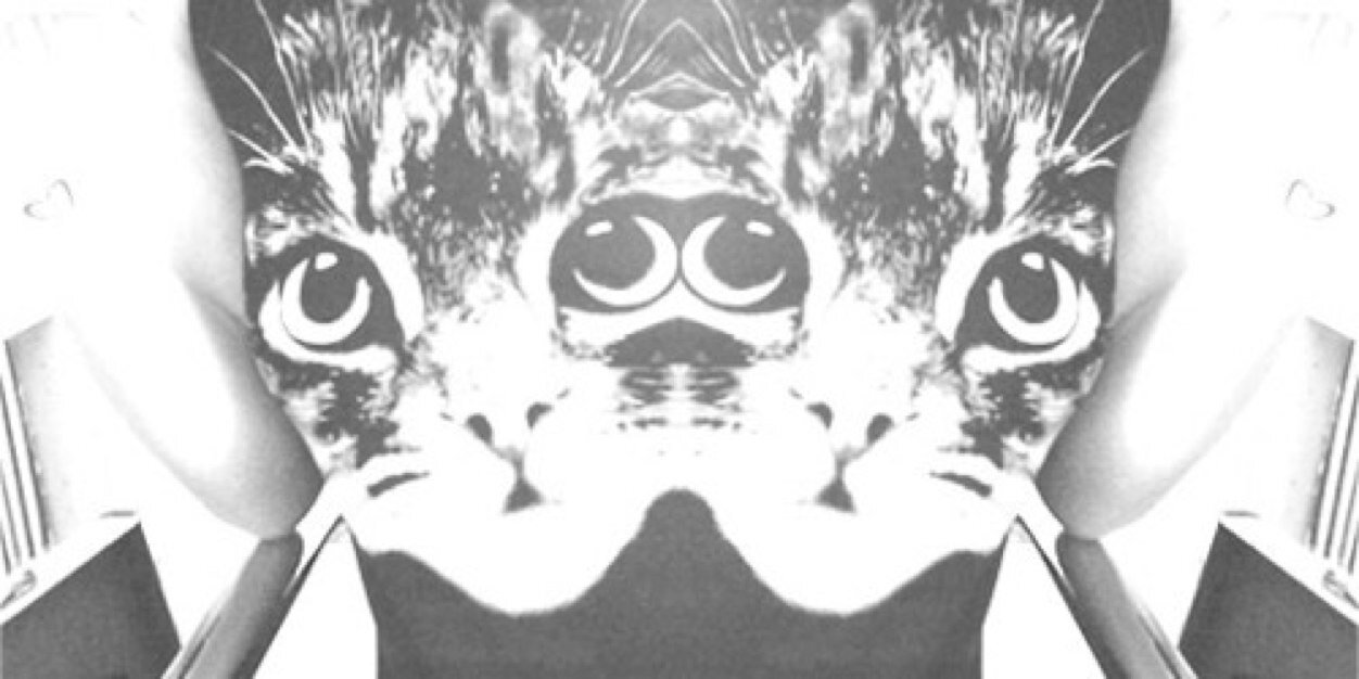 itsjosephinesdw's profile banner image