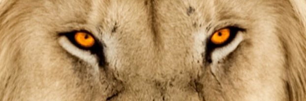 hamza_zsk's profile banner image