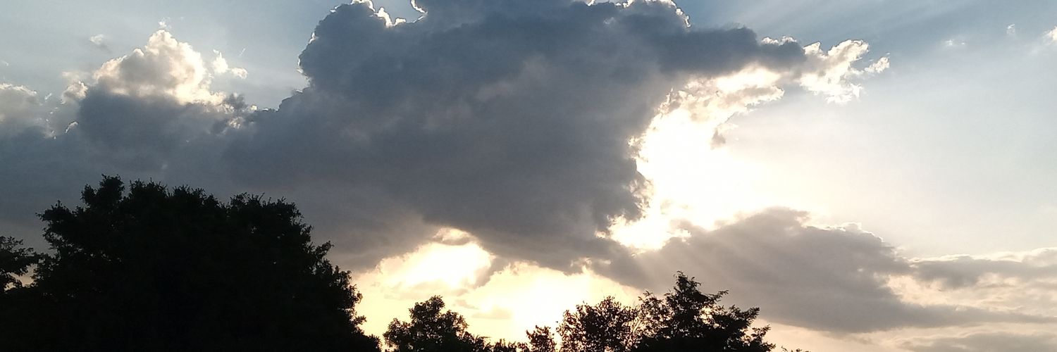 LorenzaDurango's profile banner image