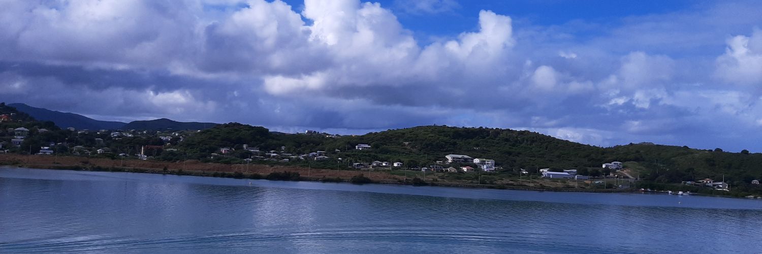 toriharrod's profile banner image