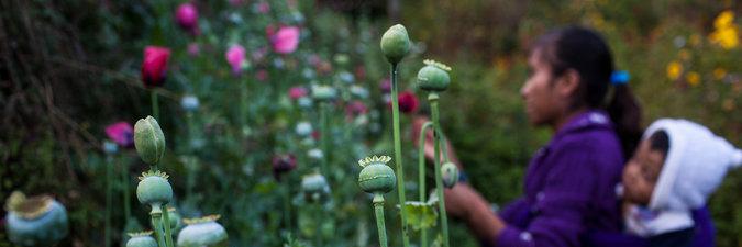 em77511's profile banner image