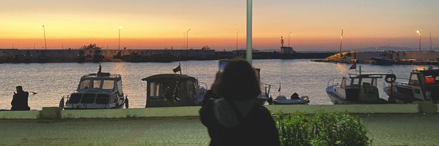 enisedgn's profile banner image