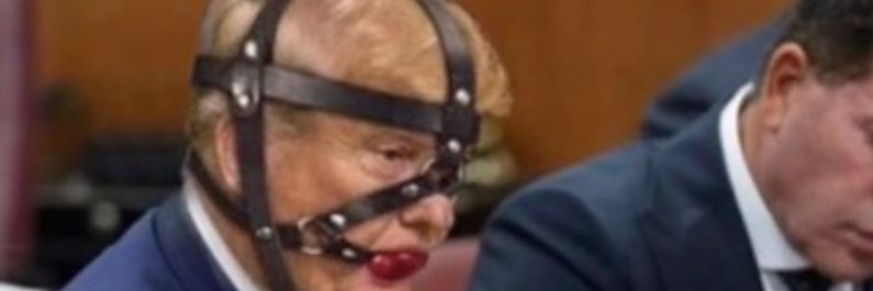 prodemocracydan's profile banner image