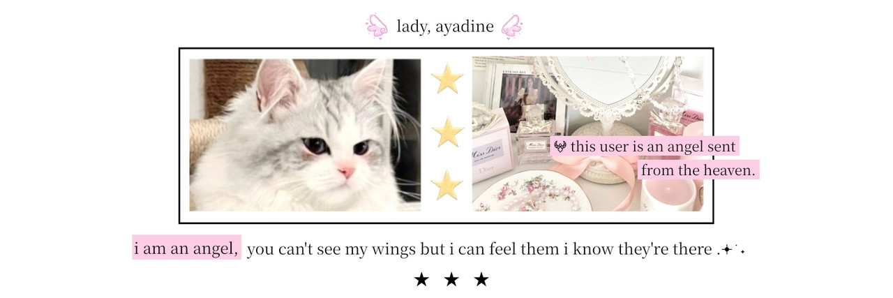 pudmu's profile banner image