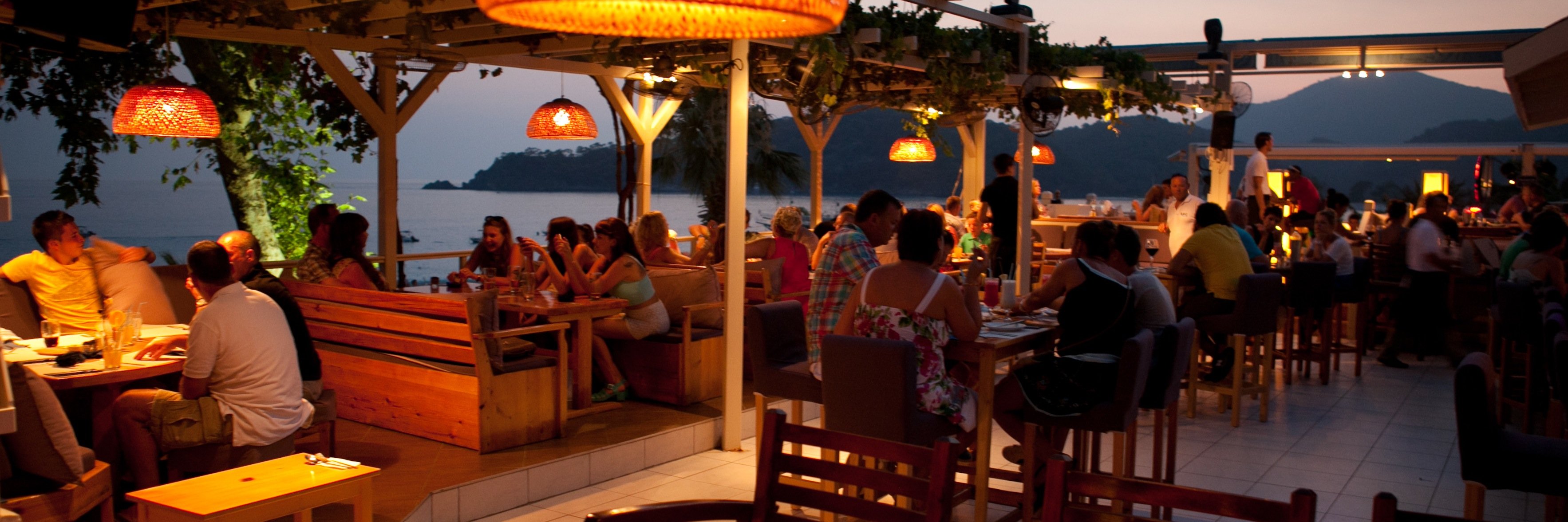 buzz beach bar banner